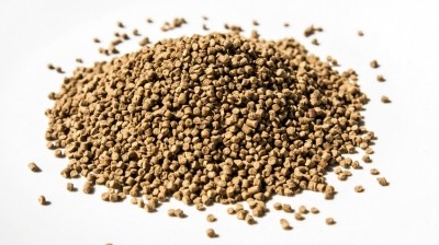 Market update: Fishmeal prices fall as season end nears