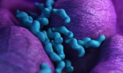 New Zealand sets out major campylobacter reduction target