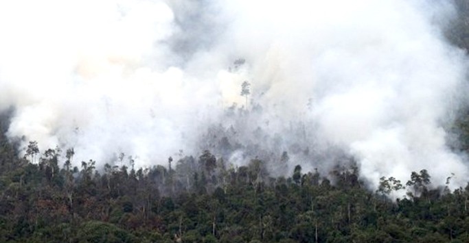 The Indonesian President's Office confirmed the "haze" crisis was down to palm oil companies