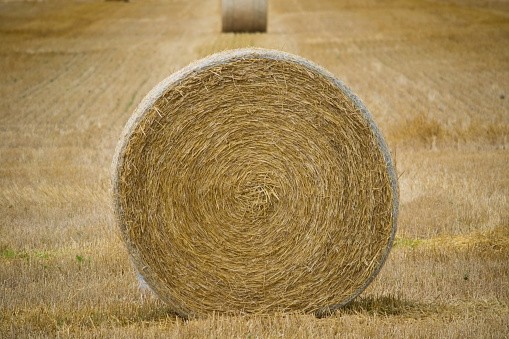 Guinness World Records:Hay bale has not been offically confirmed as a record-breaker