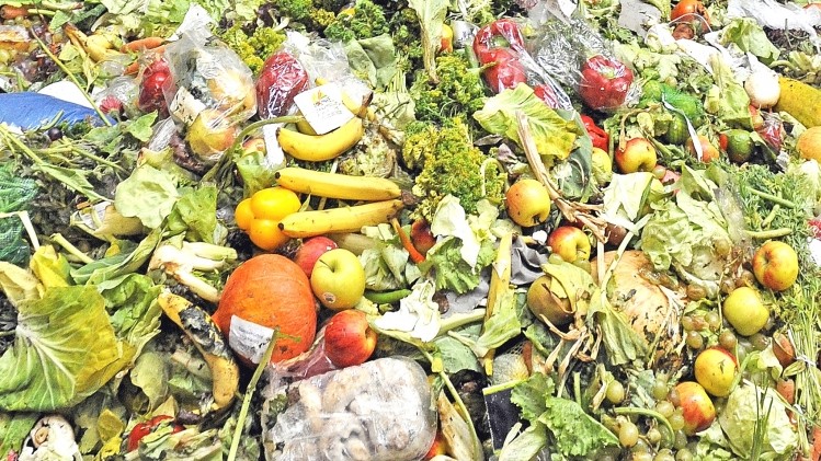 Food waste accounts for one-third of the world's food supply