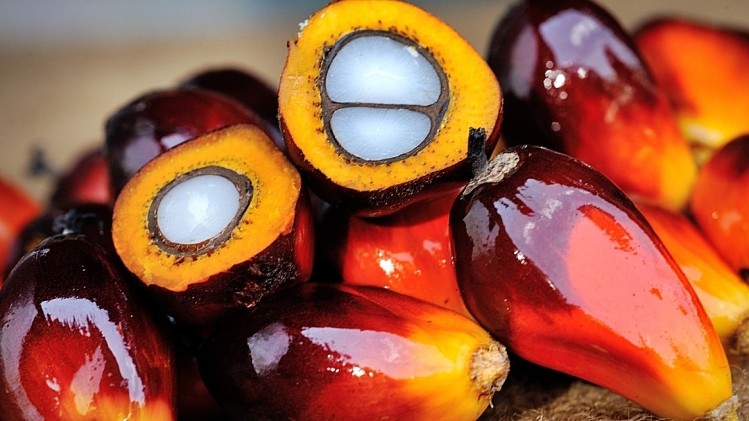 Plunging crude prices are hitting palm oil's non-food uses