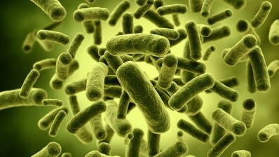 Stars aligning for India’s growth-driven probiotics market
