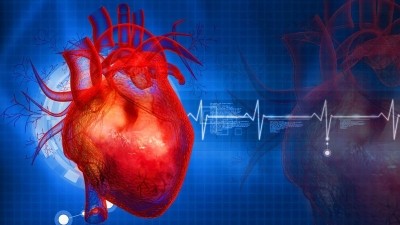 Anti-cholesterol drugs can 'safely' benefit female cardio disease