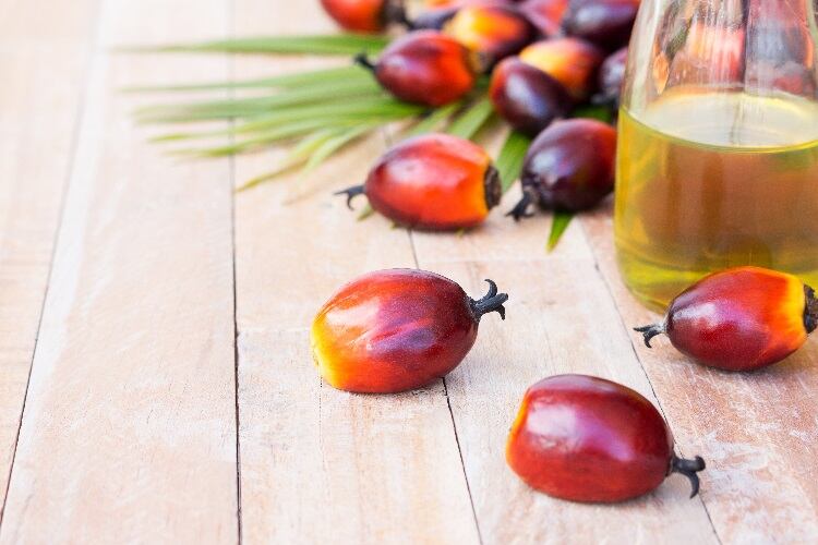 PepsiCo and Nestlé sever ties with Indonesia’s largest palm oil supplier in wake of alleged human rights abuses