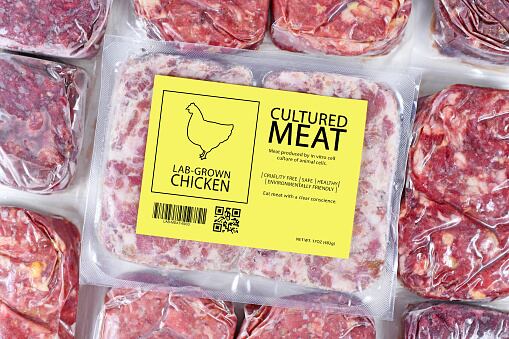 Go dark or go home: CP Foods cultivated meat partner Future Meat Technologies believes cracking dark meat production is answer to Asian growth