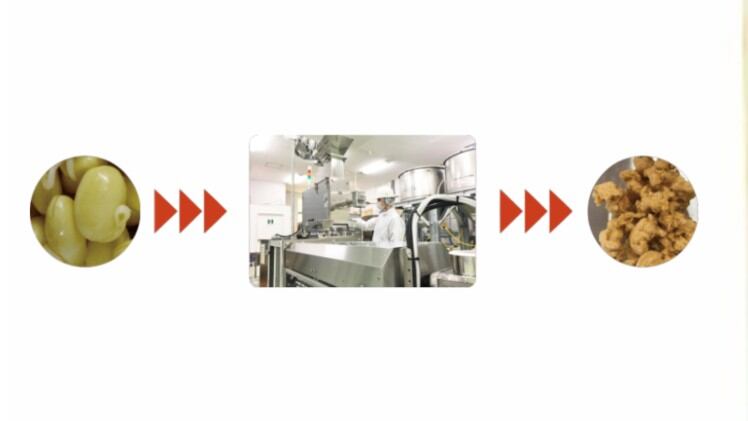 マルチミート模倣:日本のDAIZが、従来の肉を模倣する新しい大豆加工技術を開発