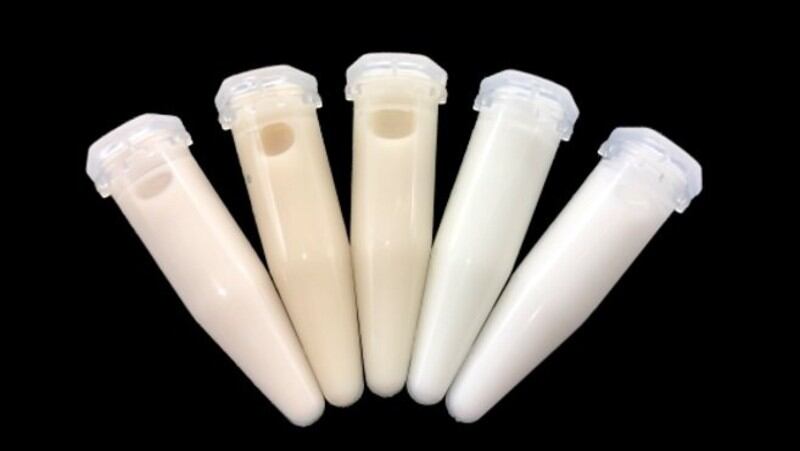 ‘Sustainable groundnut’: WhatIF Foods targets ASEAN Bambara supply chain amid 2021 plant-based milk launch