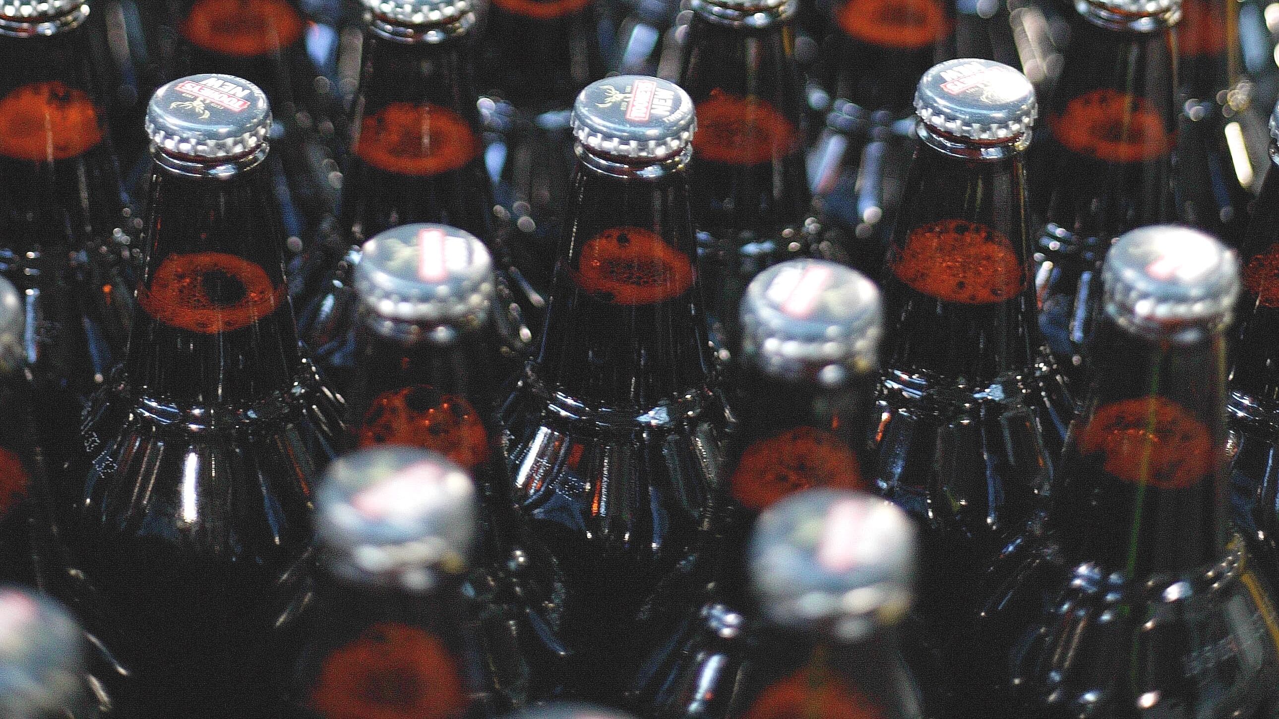 Beer.jpg