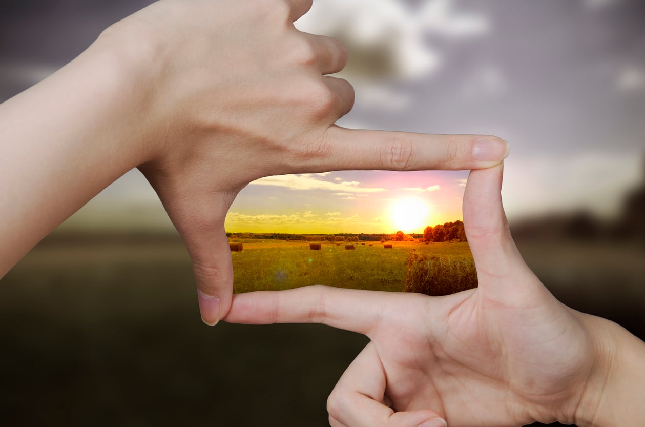 Radical-transparency-is-needed-to-overcome-greenwashing-scepticism.jpg