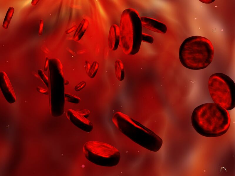 red-blood-cells-aneamia.jpg