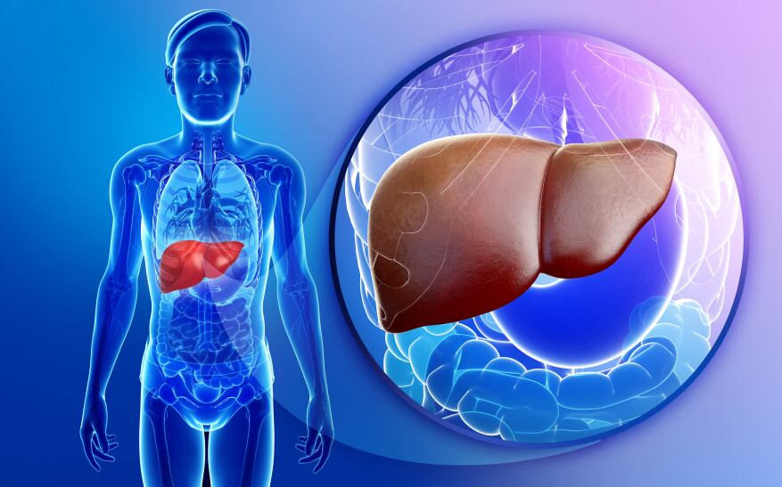 liver-disease-fatty.jpg