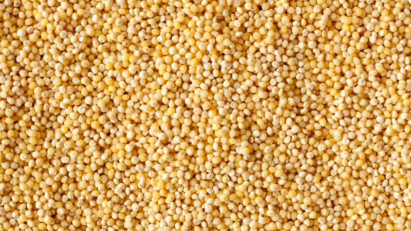India-s-food-and-defence-ministries-formalise-agreement-to-boost-government-level-millet-consumption.jpg
