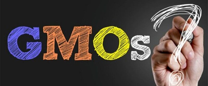 GMO in South Korea: Government considers extending non-GMO food labels to align with international standards
