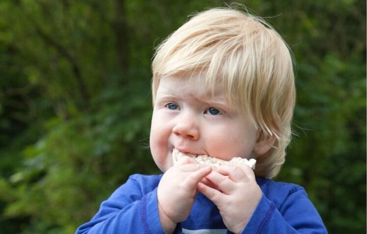 Arsenic snack shock: RMIT study revealed almost 75% of children rice snacks exceeded EU recommendations