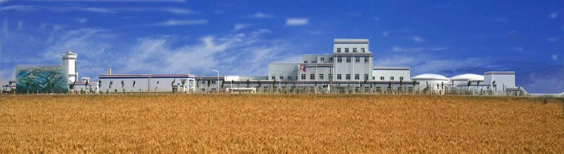 Angel Yeast spreading its wings: China firm expanding via acquisitions and production investment