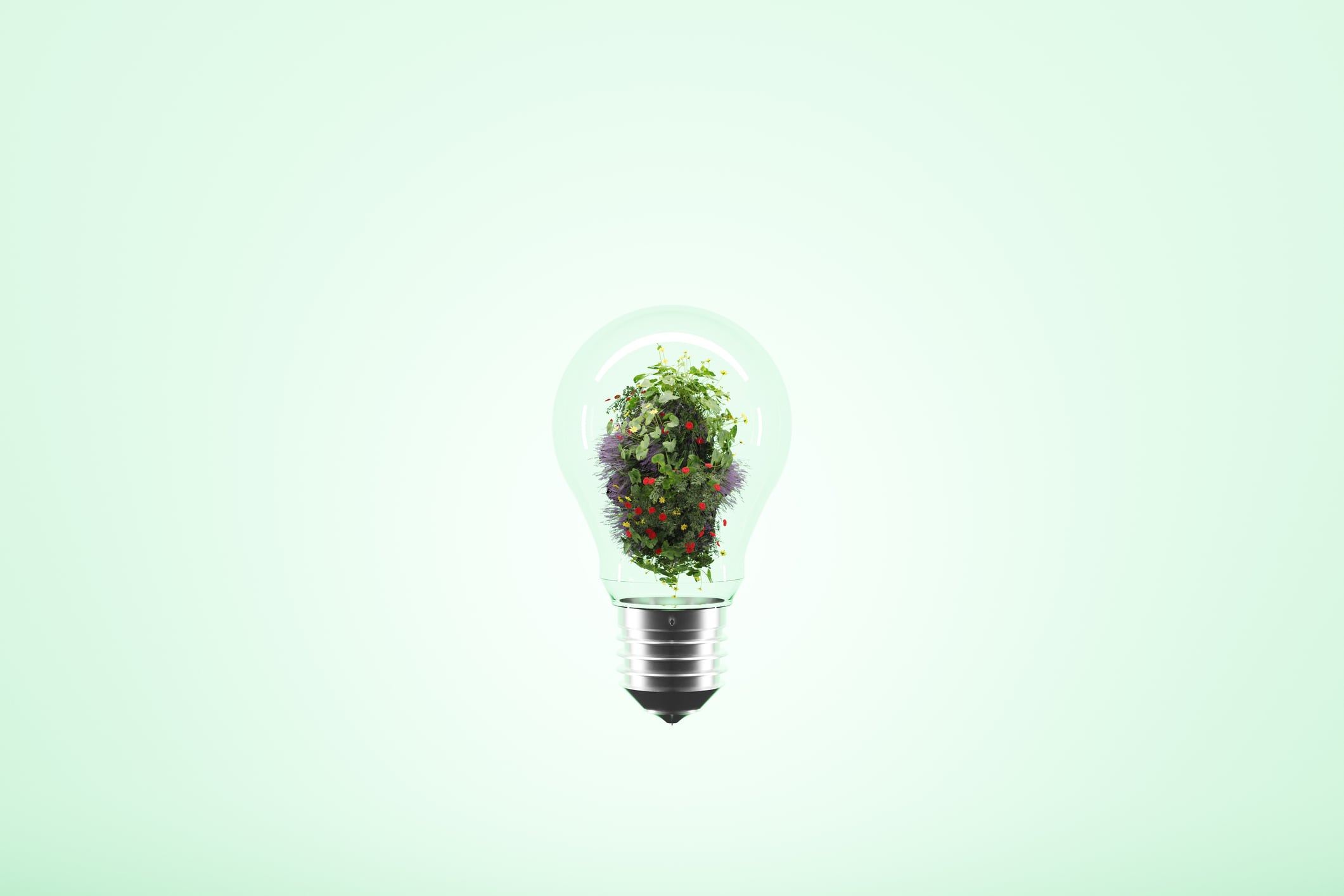 Food safety vs sustainability: Will industry have to choose?
