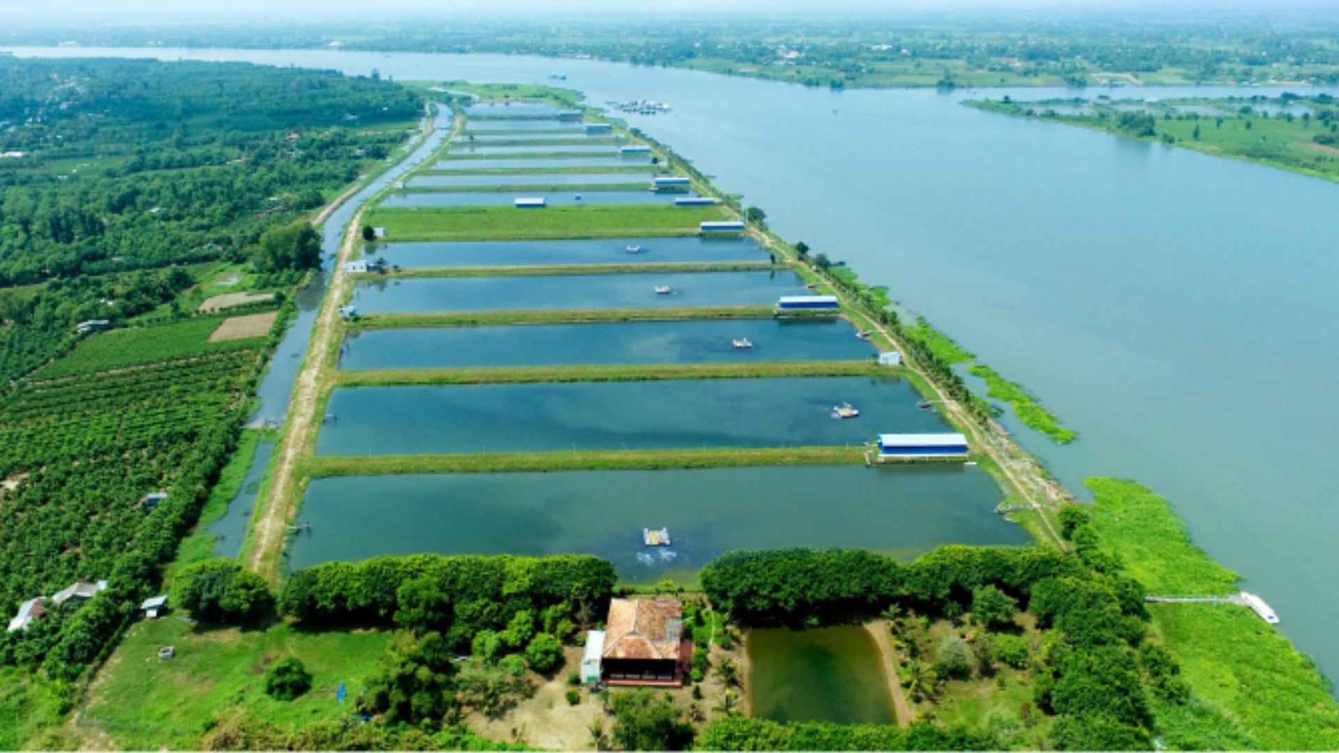 Vinh Hoan’s fish farm in the Dong Thap province along the Mekong River.