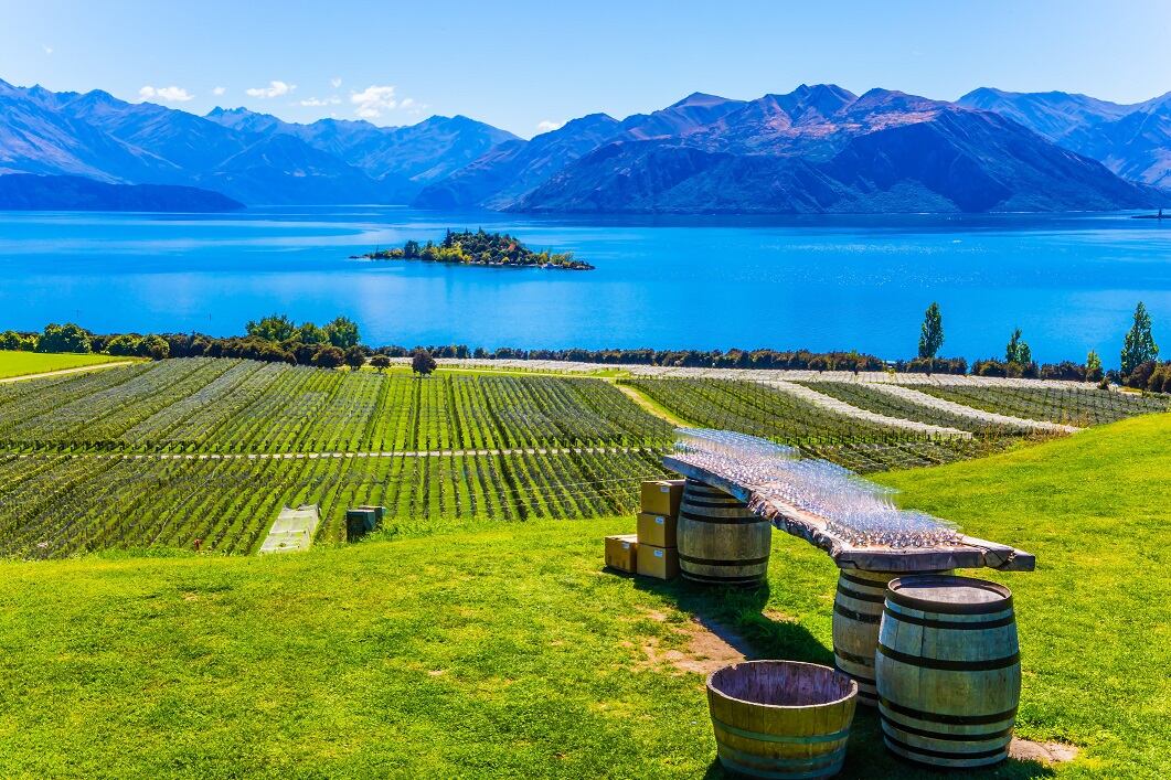 New Zealand's wine industry celebrates its 200th anniversary