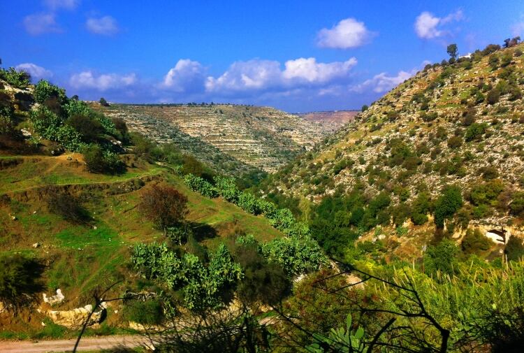 EBRD looks for consultant to help improve dairy sector in Jordan