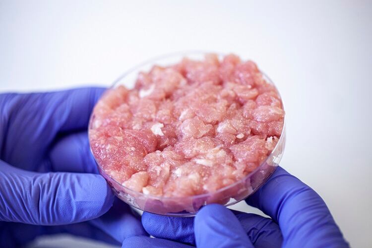 cultivated-meat-Mindful-Media-2.jpg