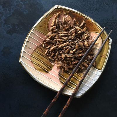 aketta-roasted-whole-crickets.jpg