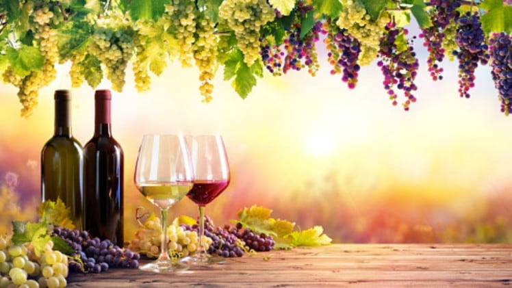 外国酒在中国大放异彩,本土品牌盼扳回一城