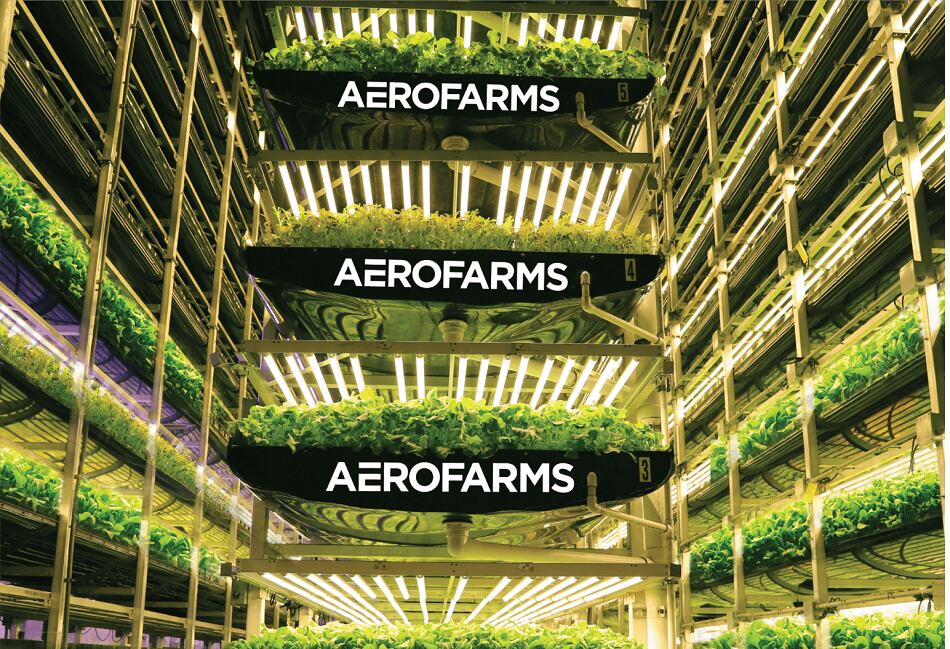 AeroFarms-and-Spring-Valley-Corp.-terminate-business-combination-to-go-public.png
