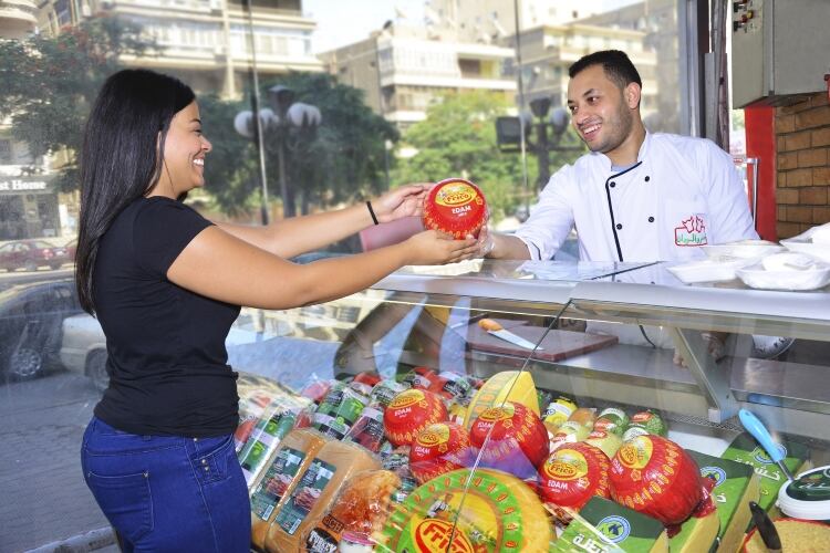 FrieslandCampina and Domty set up Egypt cheese export JV