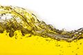 Unlock the benefits of natural antioxidants to preserving food quality and extend shelf-life 