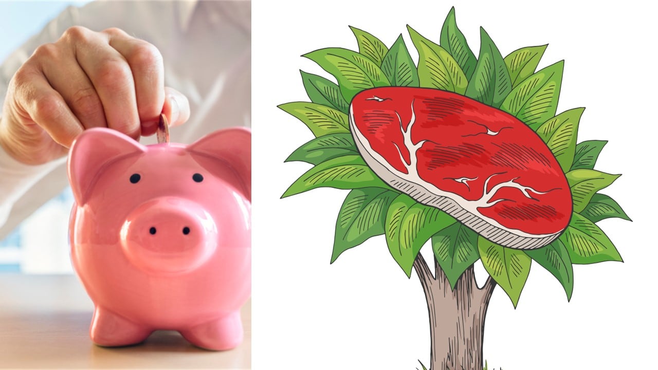 There-s-going-to-be-a-lot-of-burnt-capital-Navigating-the-hand-wringing-phase-of-alt-meat-investment.jpg