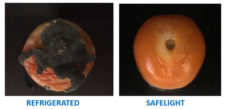 Light disruption: Singapore uni spin-off developed tech to disinfect and preserve food and surfaces
