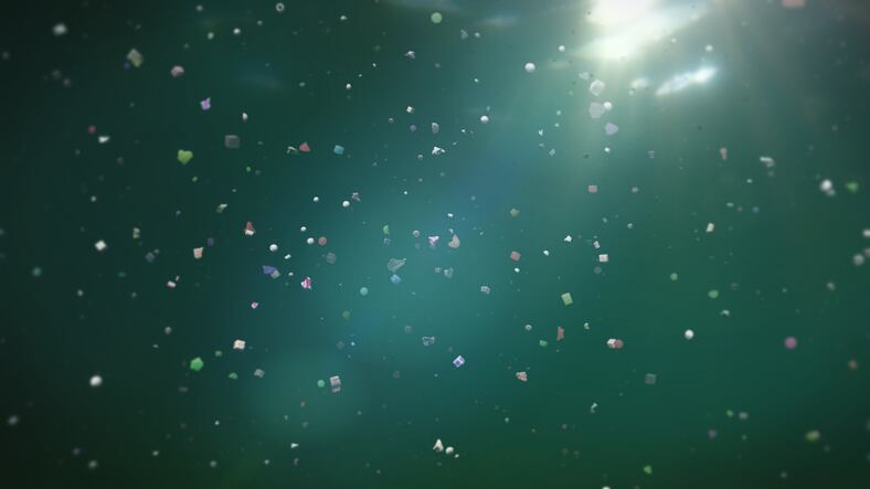 New study: Fishmeal can be a pathway for plastics to enter the seafood chain