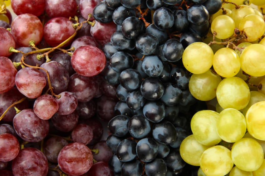 grape-colours-iStock.com-belchonock.jpg