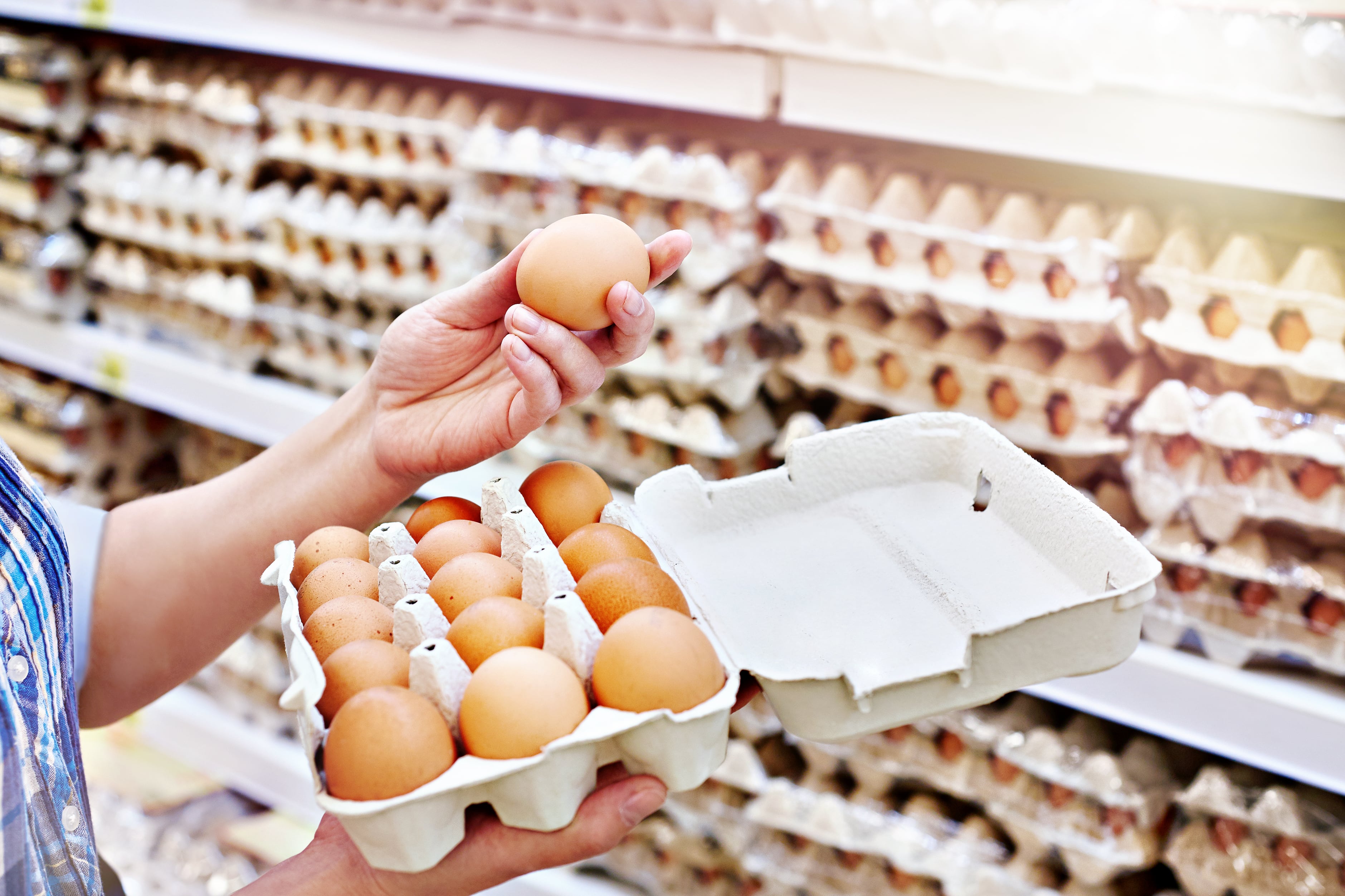 FSANZ proposes stricter egg safety rules to prevent Salmonella outbreak