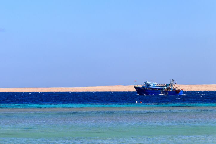 African ambitions: Political pressure forces Egyptian food exporters into new markets