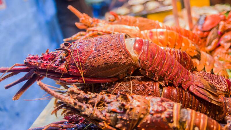 ‘Totally catastrophic’: China’s coronavirus crisis sees global F&B authorities react with varying degrees of caution