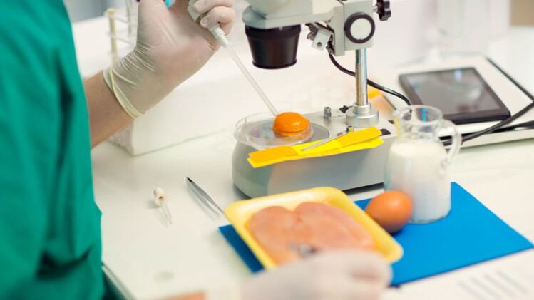 Singapore scientists claim plant-based product a ‘game-changer’ for clean label preservation