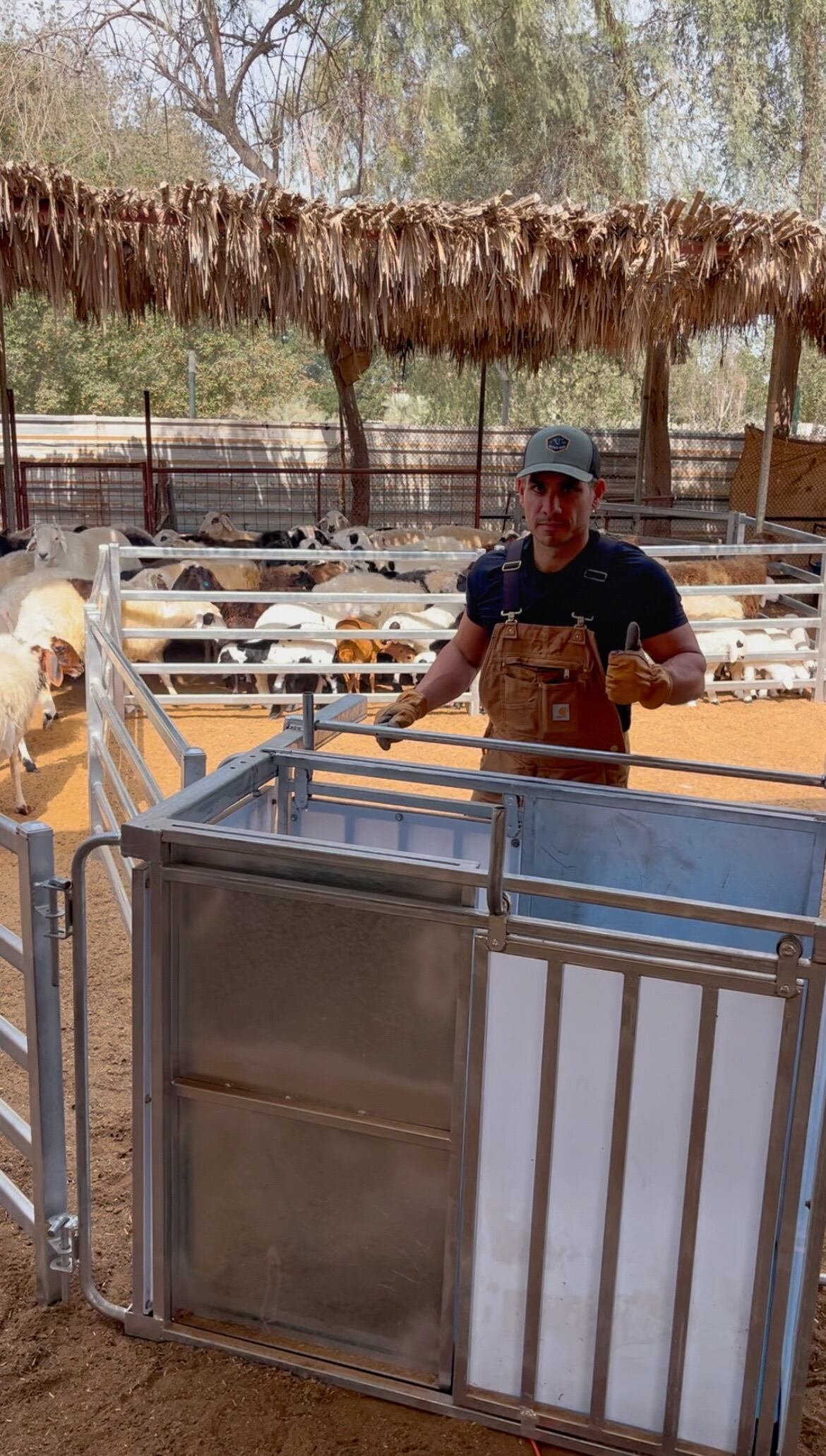 Alex Kappes: “The demand is proven, and the app is delivering strong value, so our focus is on getting it into the hands of as many livestock producers as possible, while keeping unit economics healthy and cost discipline in place.