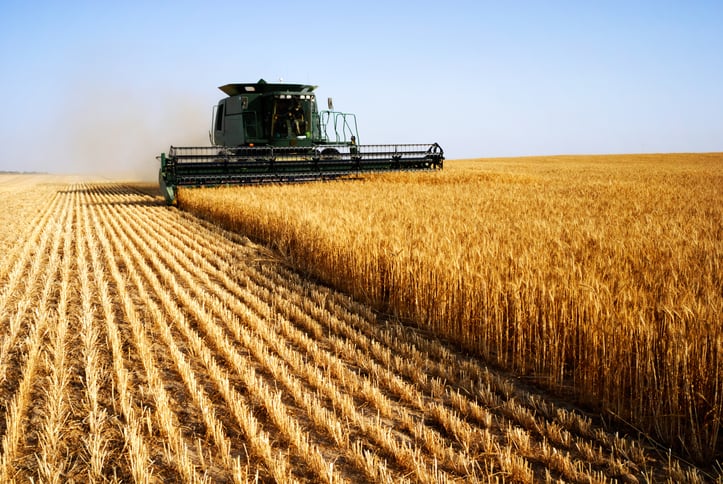 Grain drain: Drought woes lead to Australian wheat exports drop