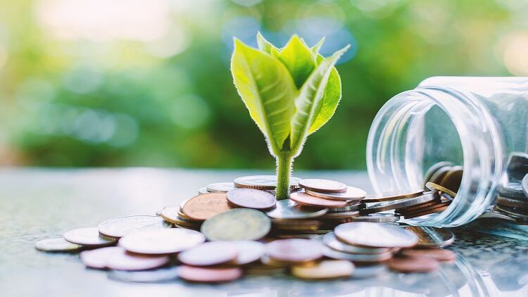 Start-up struggles; Malaysian nutrition entrepreneurs need more funding to compete with neighbours