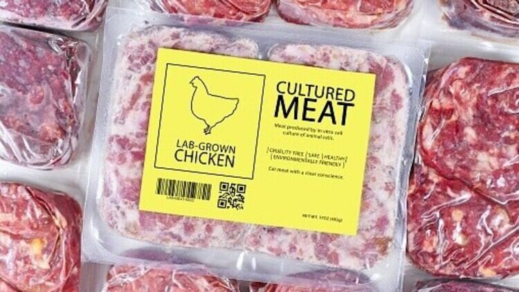 Doomed to fail? Industry experts clash on economic and nutrition feasibility of clean meat