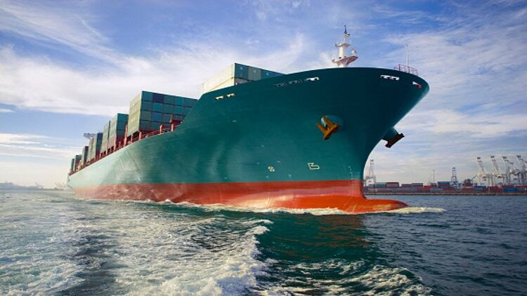 Australian sheepmeat exports drop 15%