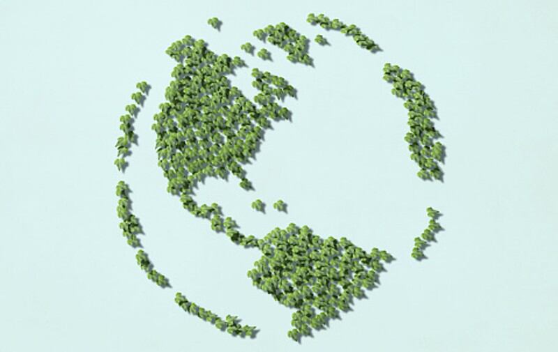 Export expertise: Japan reveals new guidelines to help food firms maximise overseas growth