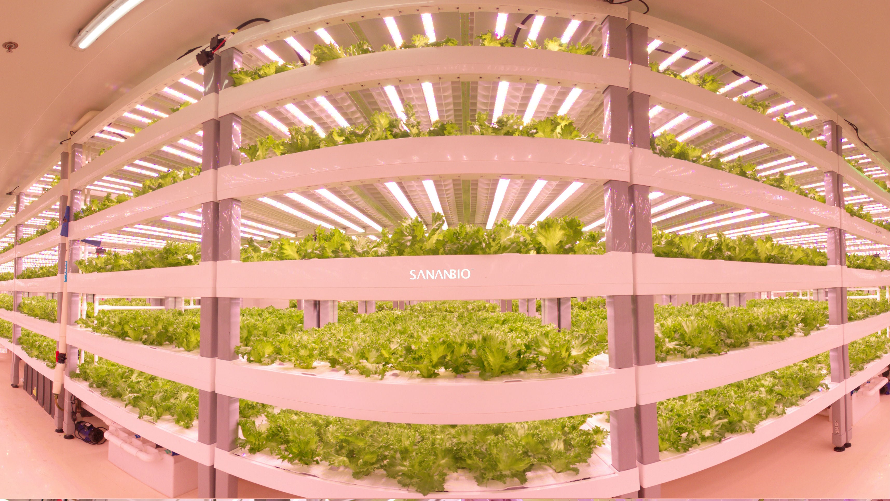 Singapore’s largest indoor farm to give food firms and national food security a boost
