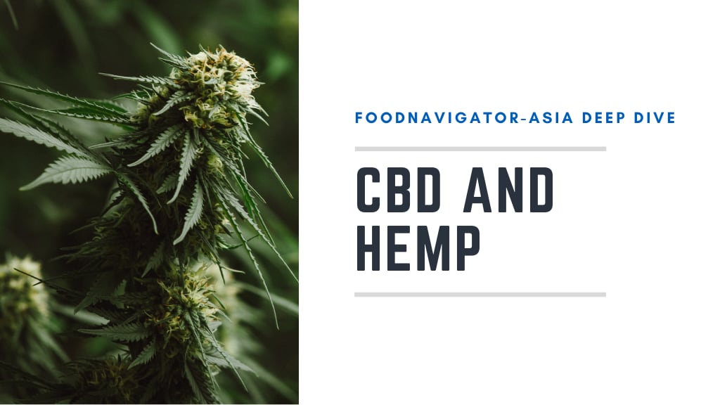 Soaring superfood: Rapid growth predicted for CBD and hemp food products in APAC markets 