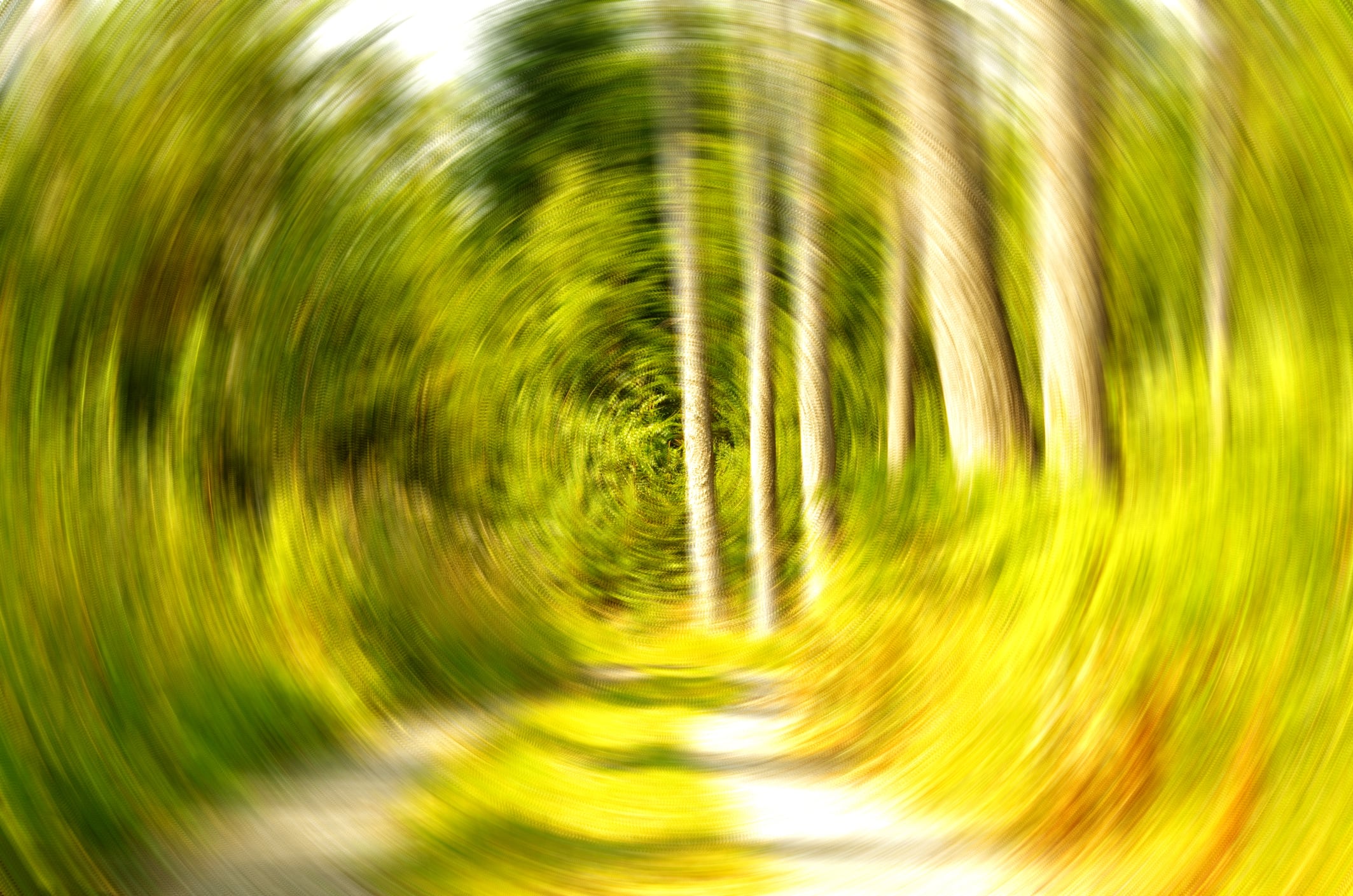 Dizzy with vertigo on a forest path