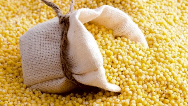 Millet.jpg