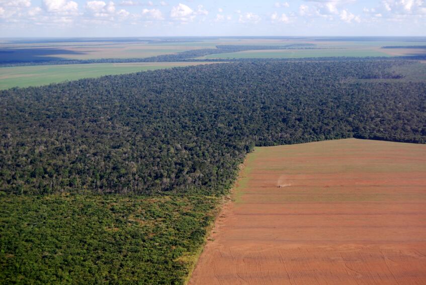 deforestation-in-brazil-for-soy-crop-copyright-Phototreat.jpg