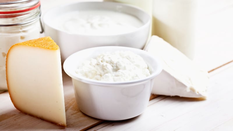 High-consumption-frequency-of-cheese-and-yoghurt-could-reduce-occurrence-of-asthma-symptoms-Iran-study.jpg